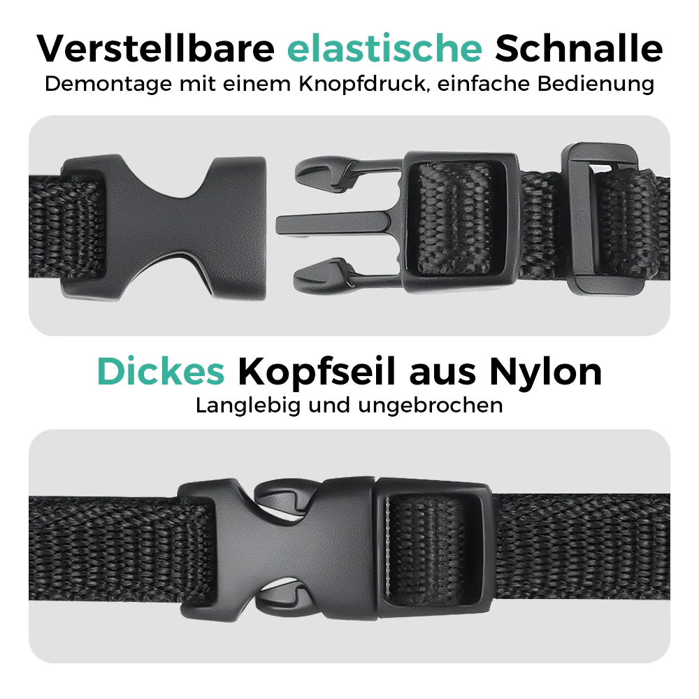 Vorschaubild 5